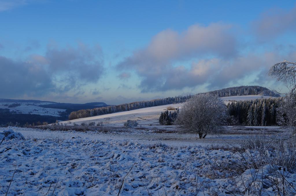 Gasthaus & Pension Lisas-Welt Wasserkuppe Ehrenberg  Esterno foto